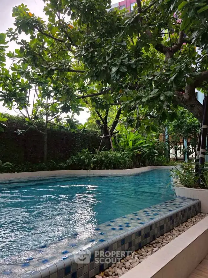 Luxurious residential pool surrounded by lush greenery, perfect for relaxation and leisure.