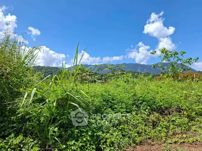 Scenic land plot with lush greenery and mountain views, perfect for development or investment.