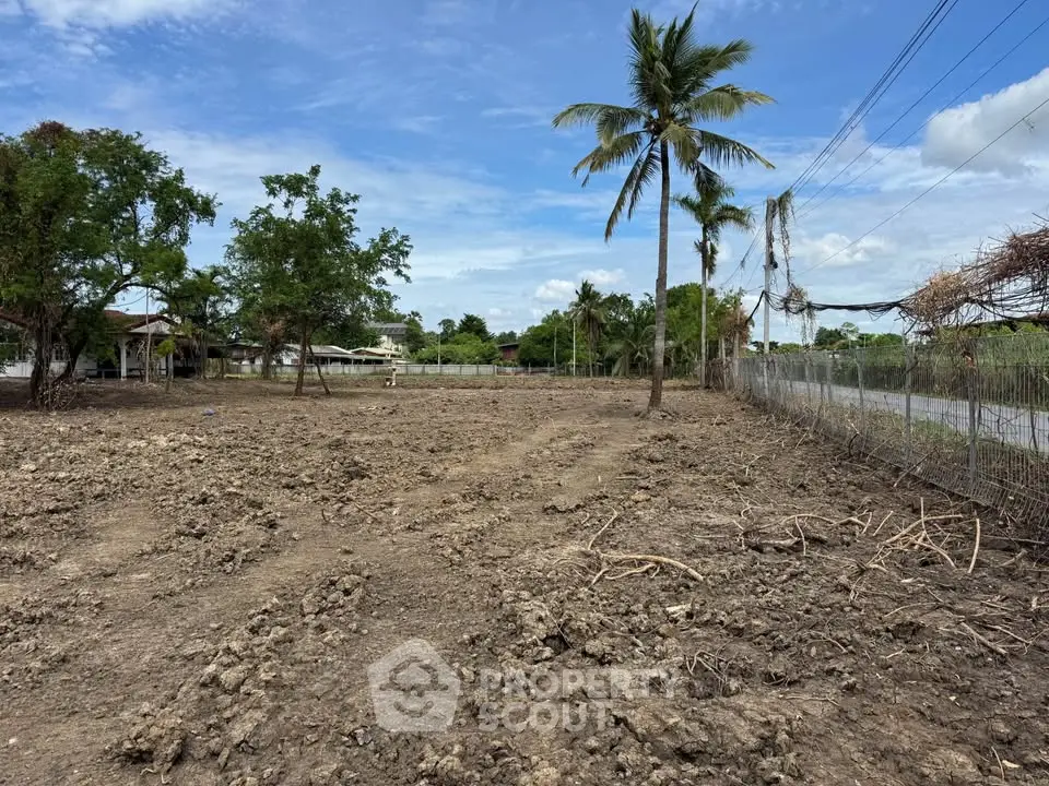 Expansive plot of land with palm trees, ideal for development in a serene setting.