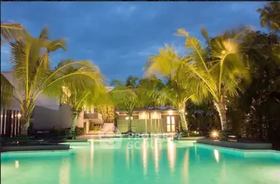 Luxurious tropical pool area with palm trees and modern architecture, perfect for relaxation and entertainment.