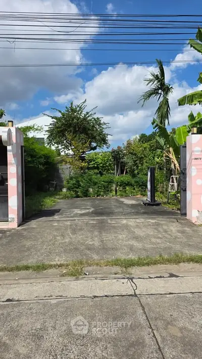 image_rental-29135183