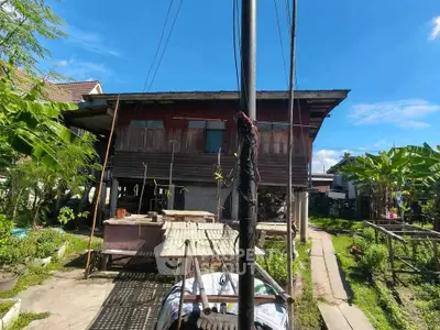Charming traditional wooden house with lush garden and clear blue sky, perfect for serene living.