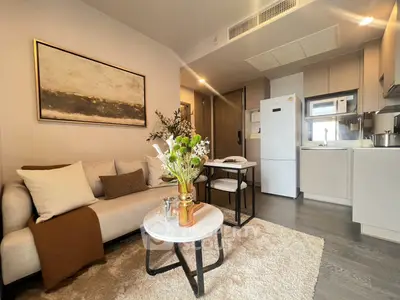 Modern open-layout living room with cozy sofa, stylish decor, and sleek kitchen area.