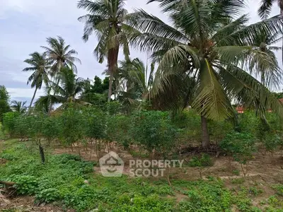 Lush tropical garden with palm trees and greenery, perfect for serene outdoor living.