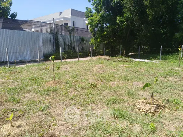 image_rental-12534176