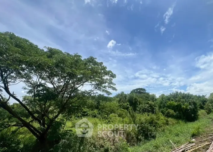 SCR-20260730-mkyi.png