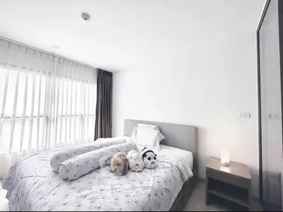 Bright and cozy bedroom with plush bedding and ample natural light