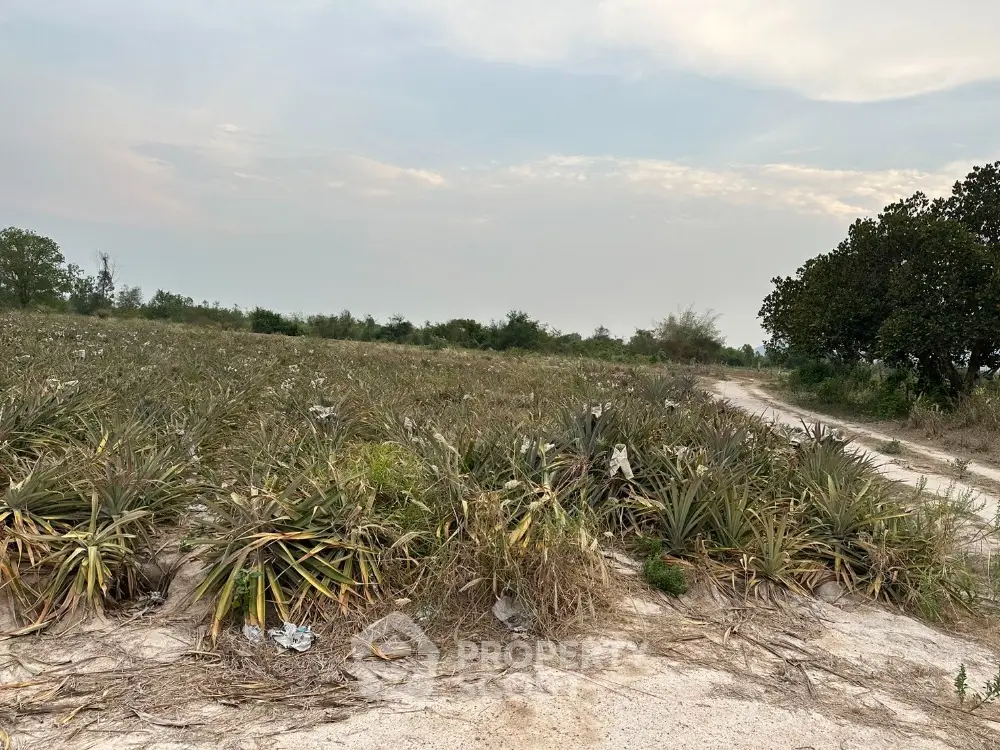 Expansive land plot with lush greenery and clear skies, ideal for development opportunities.
