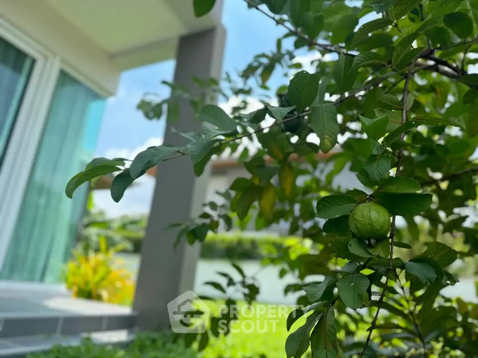 Charming garden view with lush greenery and modern home exterior, perfect for nature lovers seeking tranquility.