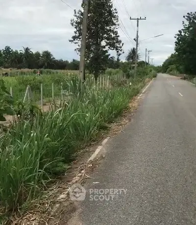 Scenic rural road with lush greenery and power lines, ideal for countryside living.