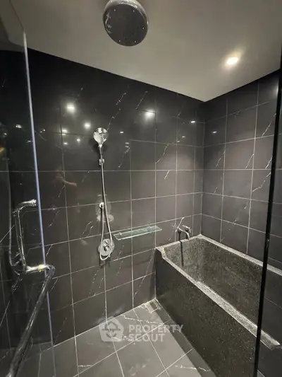 Luxurious modern bathroom with sleek black tiles and elegant fixtures