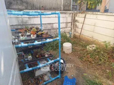 Outdoor garden area with potted plants and blue pipe shelving