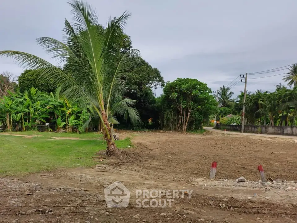 Vacant land with lush greenery, ideal for development in a tropical setting.