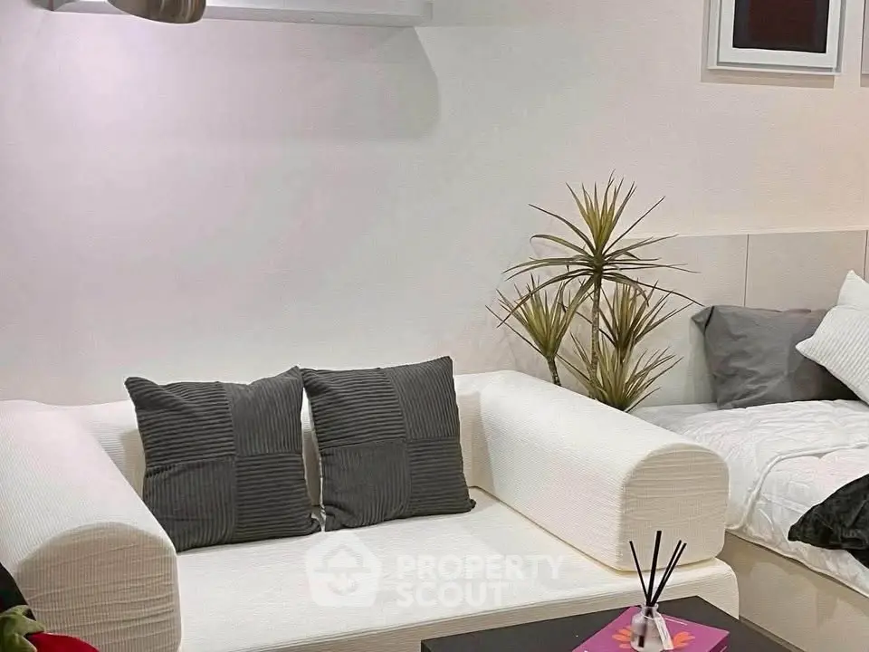 Cozy modern living room with stylish white sofa and decorative pillows