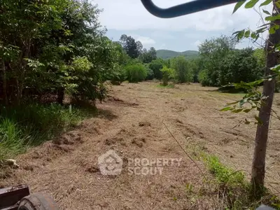 image_rental-36098845