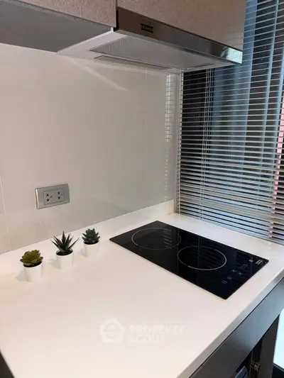 Modern kitchen with sleek induction cooktop and stylish blinds