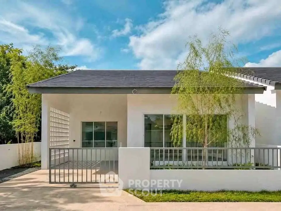 Modern single-story house with sleek design and spacious driveway