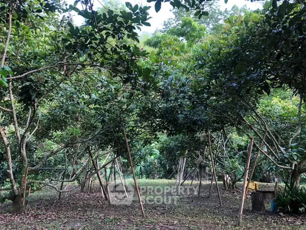 image_rental-20218670