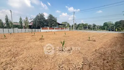 Spacious vacant land plot with young plants and clear blue sky, ideal for development.