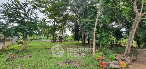 image_rental-13913772