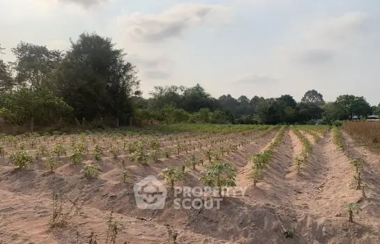 image_rental-21902306