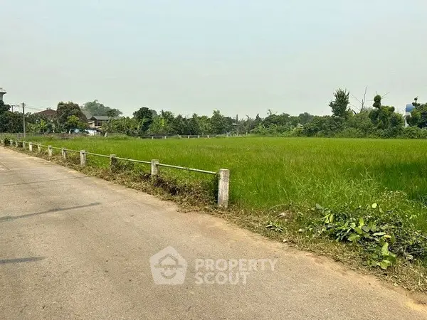 image_rental-31034506