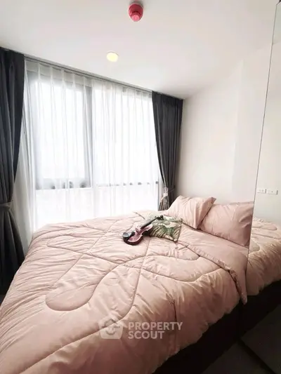 image_rental-25376305