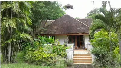 Charming tropical villa with lush garden and rustic wooden accents
