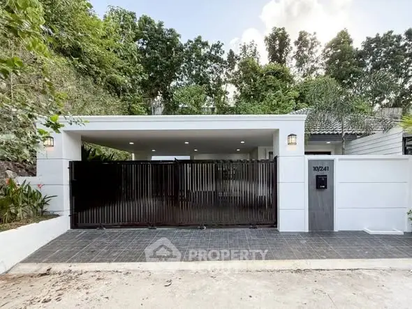 Modern gated entrance of a stylish home with lush greenery and sleek design.