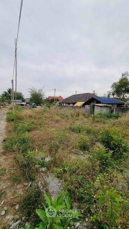 image_rental-27632324