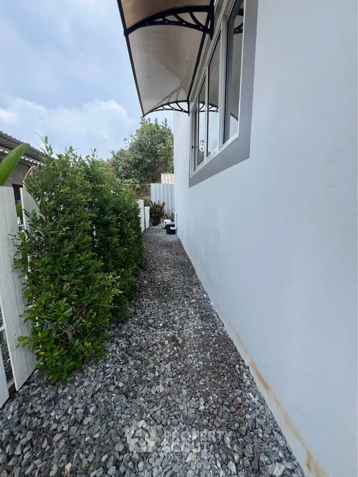 Charming side pathway with gravel and greenery beside modern house exterior.
