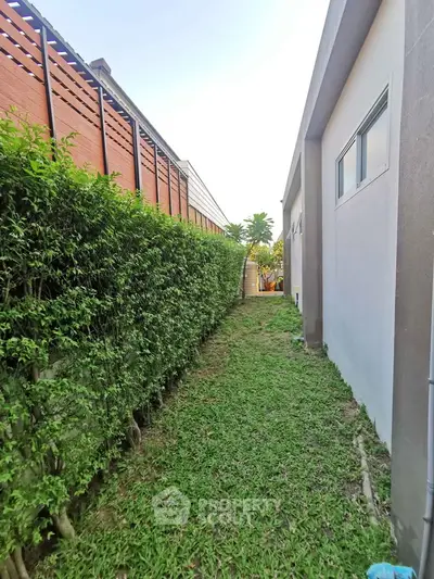 Charming side garden with lush greenery and modern building exterior, perfect for outdoor relaxation.