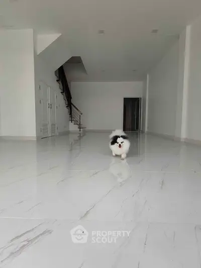 Spacious modern interior with glossy white flooring and staircase