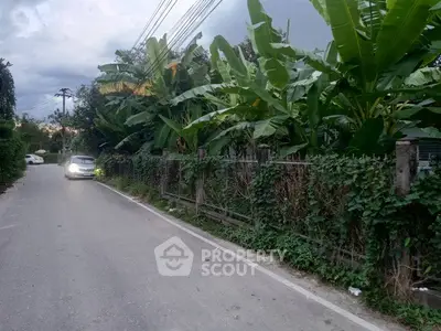 Charming suburban street with lush greenery and rustic fence, perfect for tranquil living.