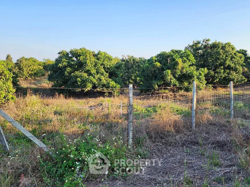 Expansive agricultural land with lush greenery and clear blue sky, ideal for farming or development.