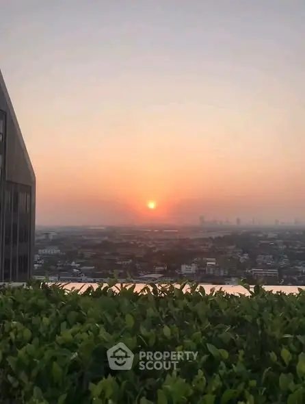 Stunning sunset view from a high-rise building with lush greenery in the foreground.