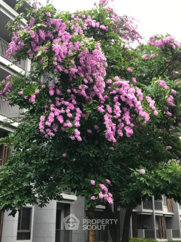 Charming residential building with lush purple flowering tree enhancing curb appeal.