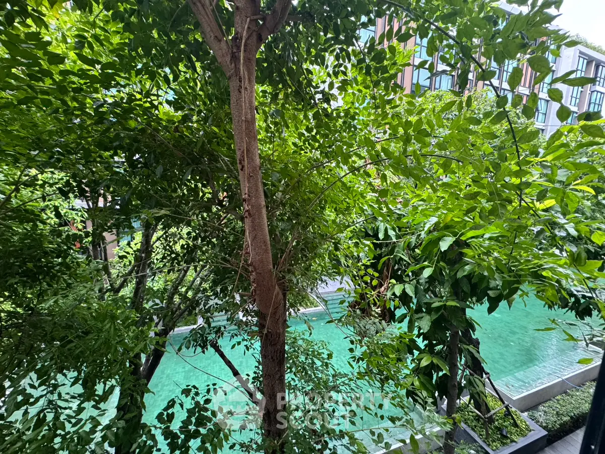 Lush green garden view with a serene pool in a modern residential complex.