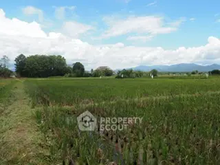 image_rental-22155530