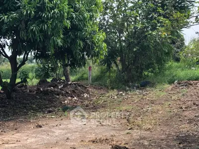Spacious land plot with lush greenery, ideal for development or agriculture.