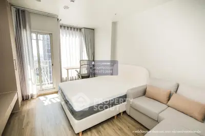 image_rental-30207980