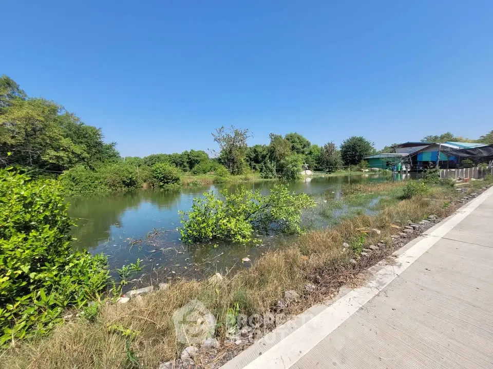 Scenic view of a serene pond surrounded by lush greenery and a clear blue sky, perfect for nature lovers.