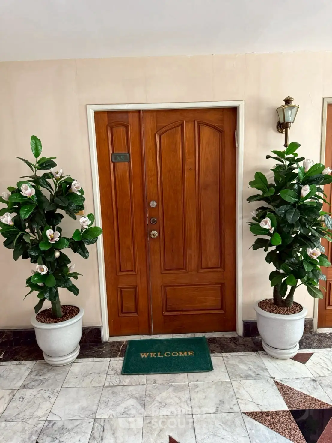 Elegant apartment entrance with wooden door and potted plants