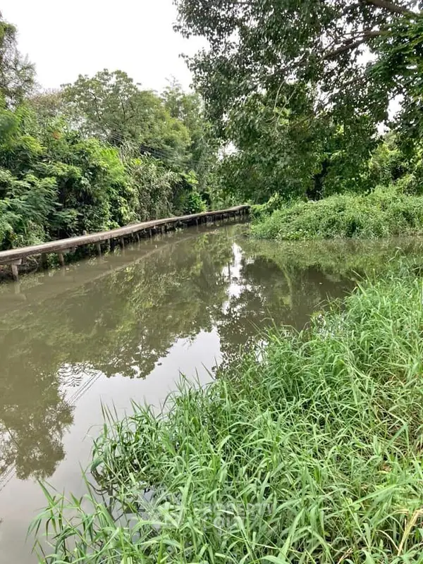 image_rental-11961179