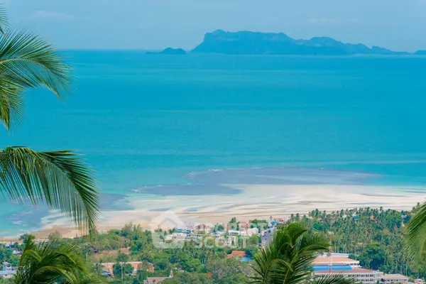 image_rental-19947643