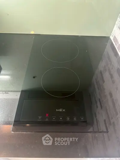 Modern kitchen with sleek black electric stove and minimalist design