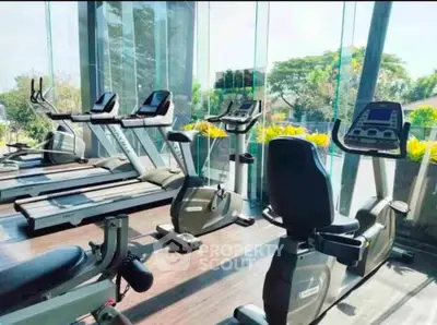 Modern gym with state-of-the-art equipment and scenic outdoor views.