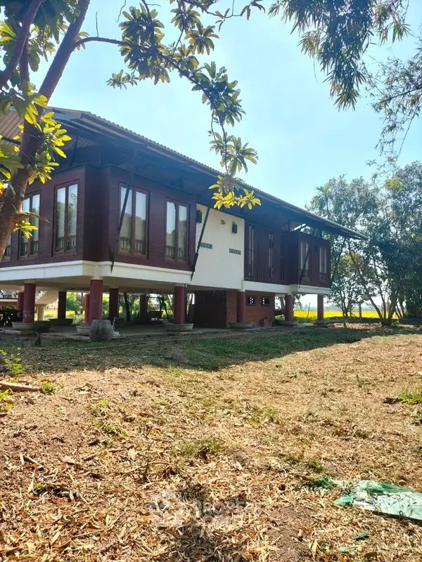 image_rental-16206405