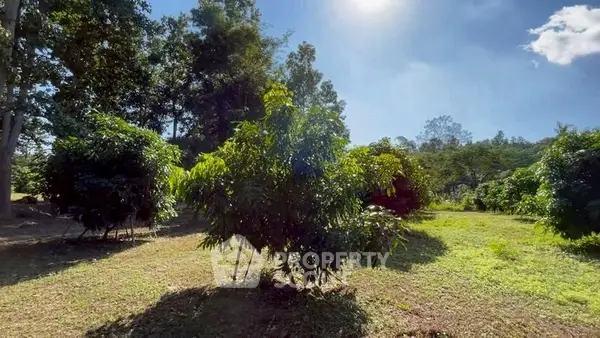 image_rental-31423351