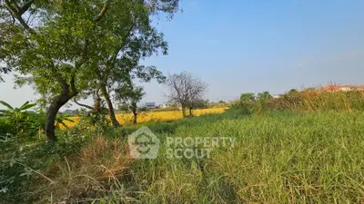 image_rental-16552510